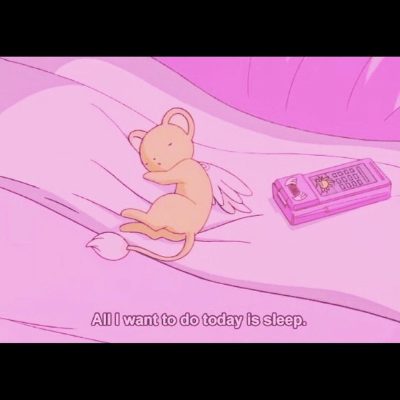 Meet your Posher, Jaleel - Picture 1 of 1